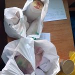 332534614_727849678874299_5472389895753063466_n